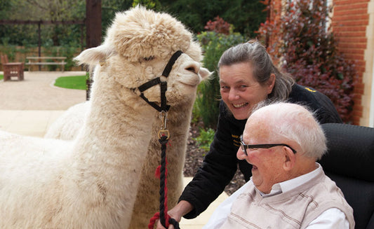 Have you heard of Alpaca Therapy?
